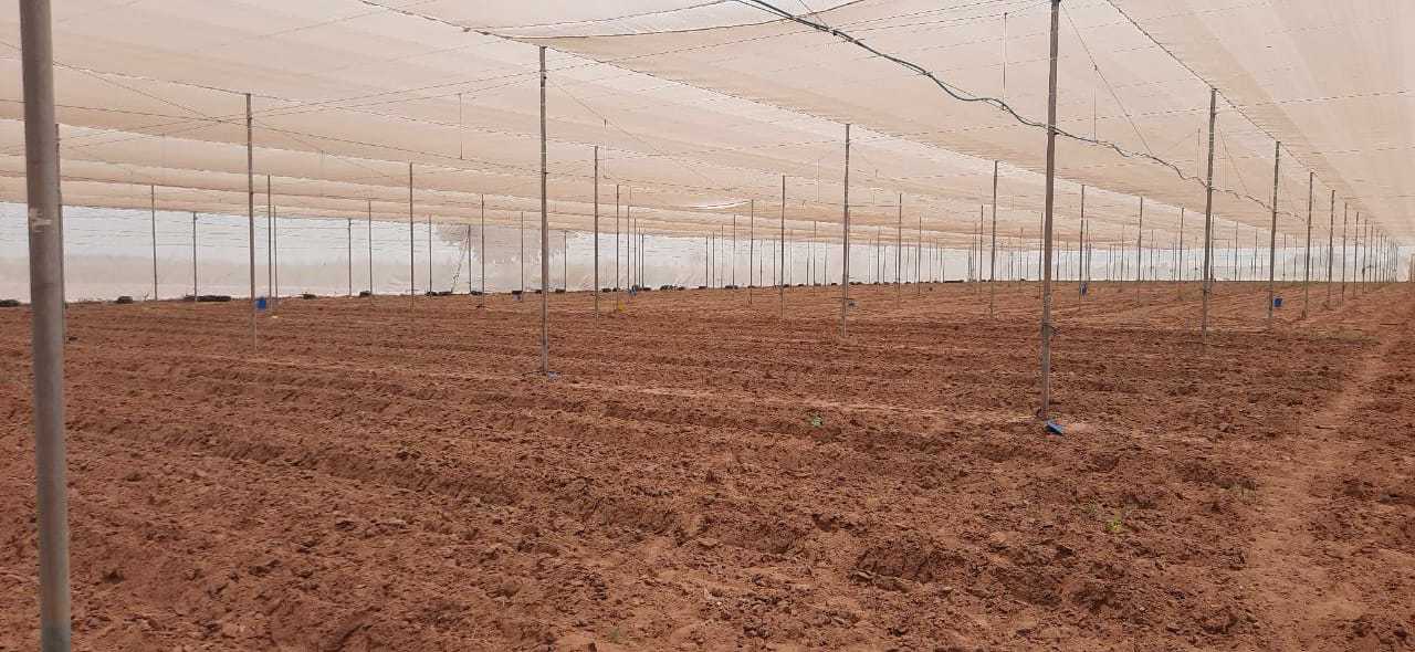 Second hand shade net house
