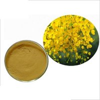 Amaltas Extract (Cassia Fistula)