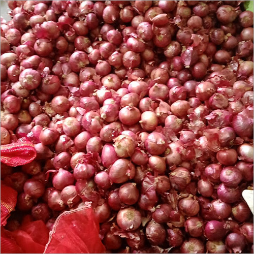 Onion .
