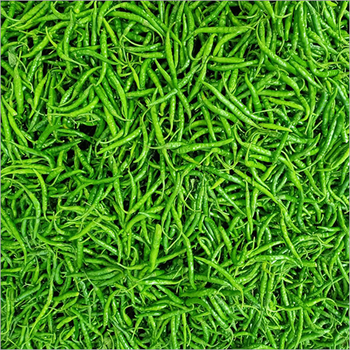 Green Chilli