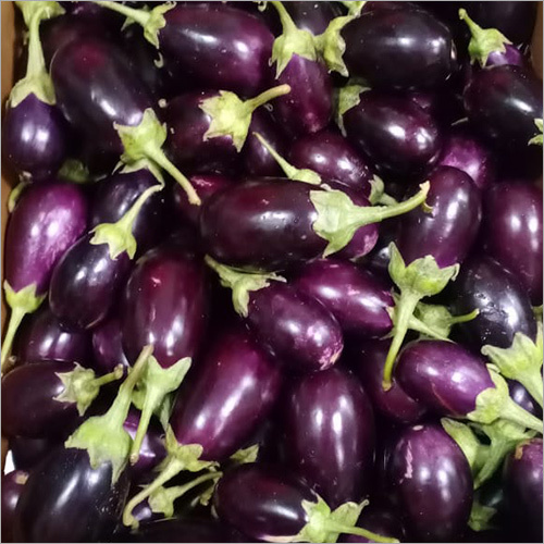 Brinjal .