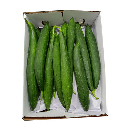 Ridged Gourd