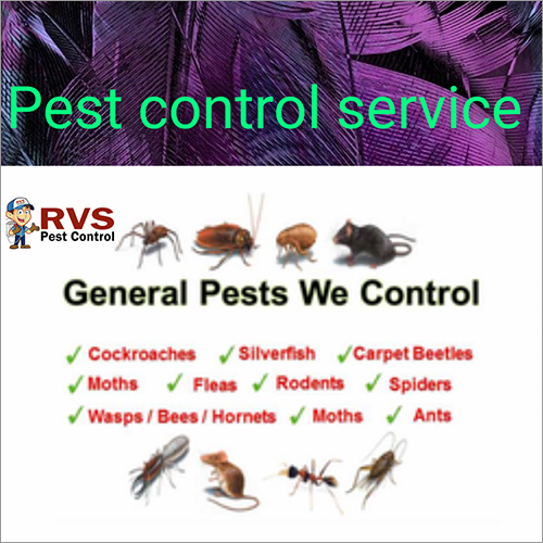 Genral Pest Control Services