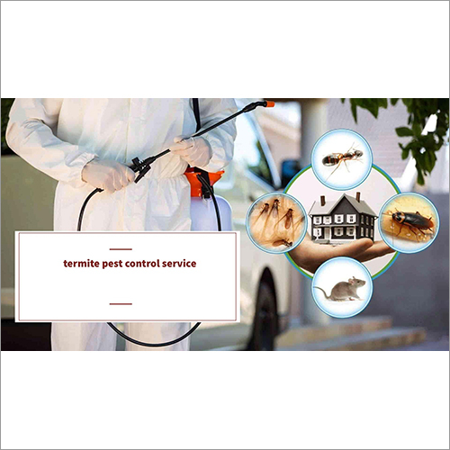 Termite Pest Control Services