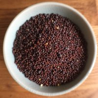 Mustard Seed