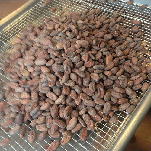 Cocoa Beans