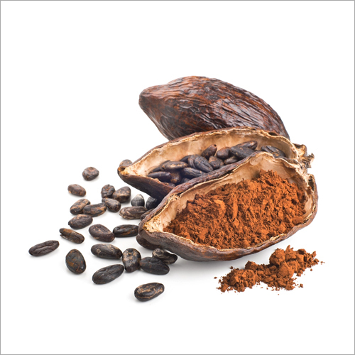 Natural Cocoa Beans By MHP FOOD TRADING L.L.C