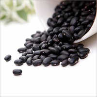 Black Kidney Beans - Bulk Packaging, 1 Year Shelf Life, Cool & Dry Storage