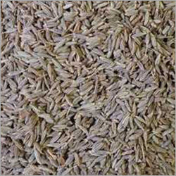 Cumin Seeds