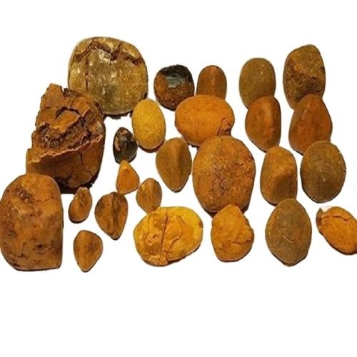 Ox Gallstone