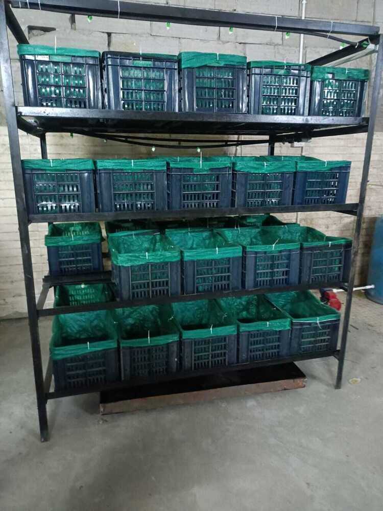 Semi Automatic Curing System - Color: Grey