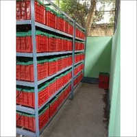 Crates Curing System
