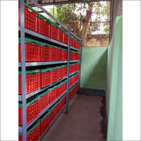 Semi Automatic Crates Curing System