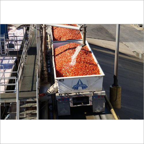 Tomato Puree Processing Plant