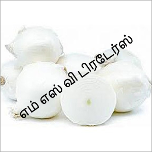 White Onion By M S V TRADERS