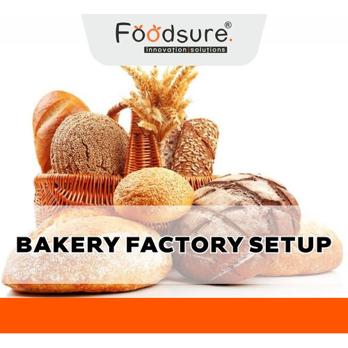 Bakery Kitchen Setup Consultant