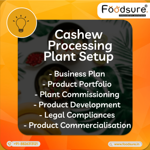 Cashew Processing Plant Setup Consultant
