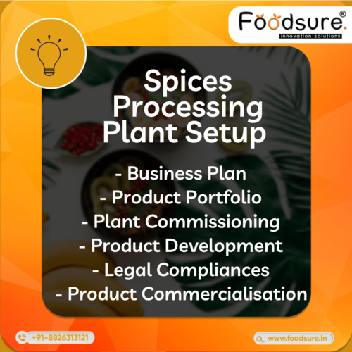 Spice Processing Plant Setup Consultant