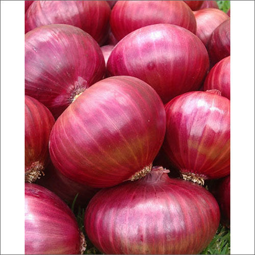 Fresh Red Onion