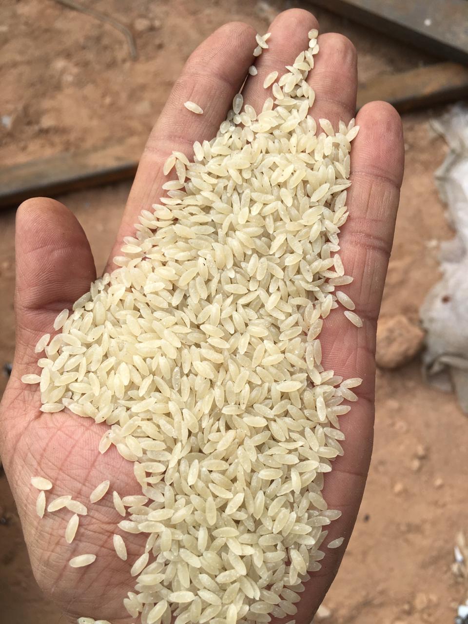 FRK Fortified Rice Extrusion