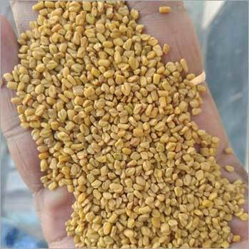 Organic Fenugreek Seed Grade: A