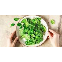 Spinach Powder By GOGIA CHEMICAL INDUSTRIES PVT. LTD.