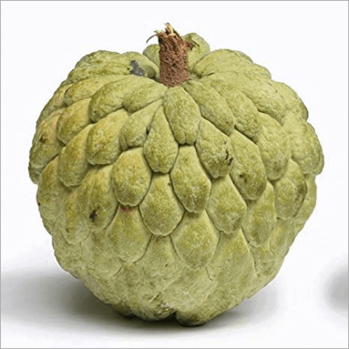 Custard Apple