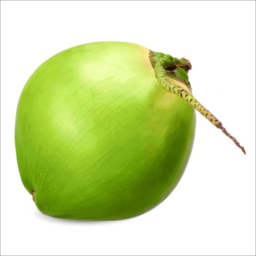 coconut