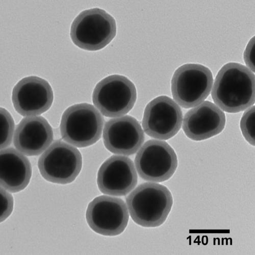 Silica Shelled Nanoparticle