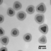 Silver Nanoplates