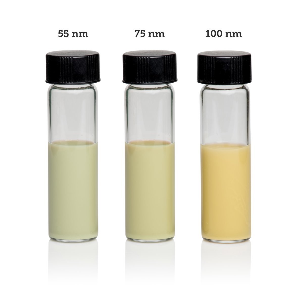 à¤¸à¤¿à¤²à¥à¤µà¤° à¤¨à¥à¤¨à¥à¤à¥à¤¯à¥à¤¬à¥à¤¸