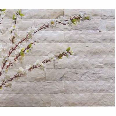 Rock Stone Face Tile