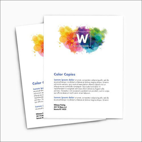 Color Printing Services By M/S JAINA OFFSET PRINTERS