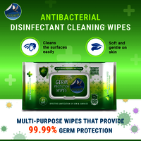 Germ Protection Multipurpose Skin and Surface Wipes with Flip-top