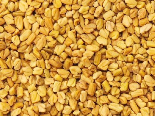 Fenugreek Seeds