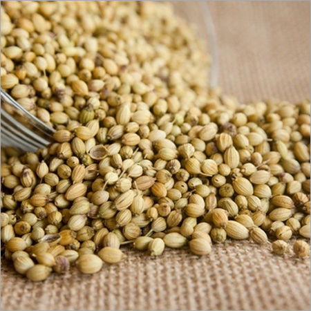 Coriander Seeds Shelf Life: 2 Years Years