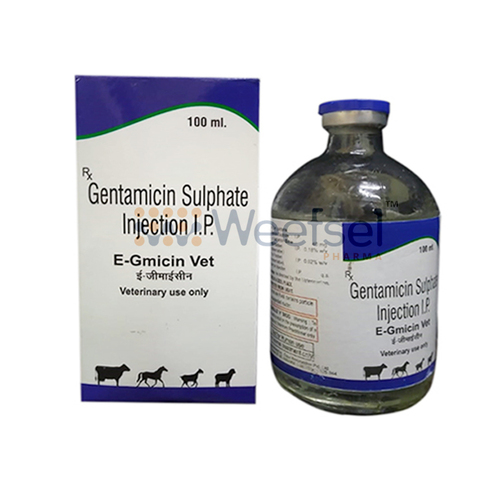 Gentamicin Injection