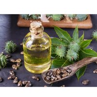 Castor Seed Oil - Cold Pressed, 100% Pure And Natural Extract For Skin And Hair Nourishment