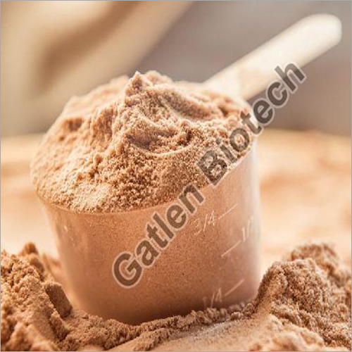 Chocolate Flavor Protein Powder By GATLEN BIOTECH