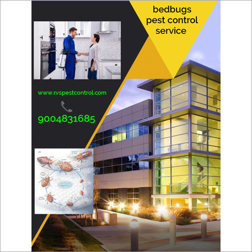 Bedbugs Pest Control Service By RVS PEST CONTROL SERVICE