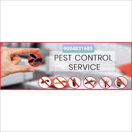 Pest Control Service