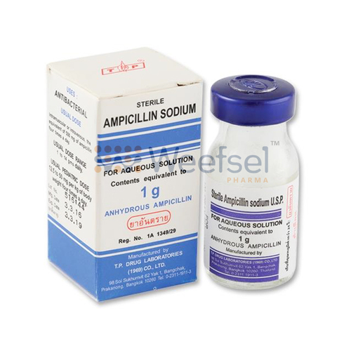 Ampicillin Injection