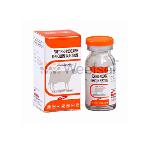 Fortified Procaine Penicillin Injection