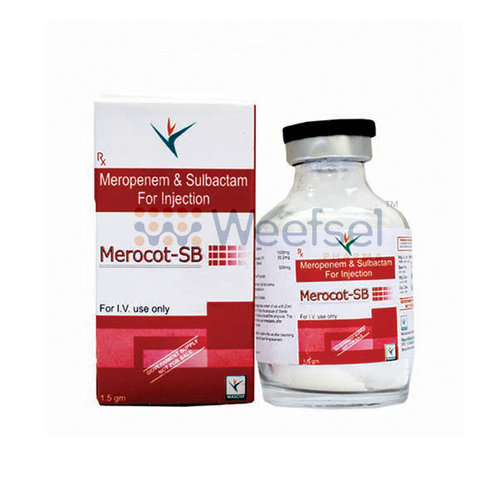 Meropenem and Sulbactam Injection