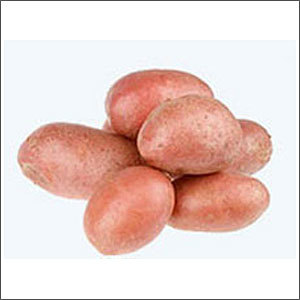 Red Potato