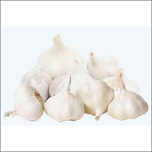 Fresh Garlic