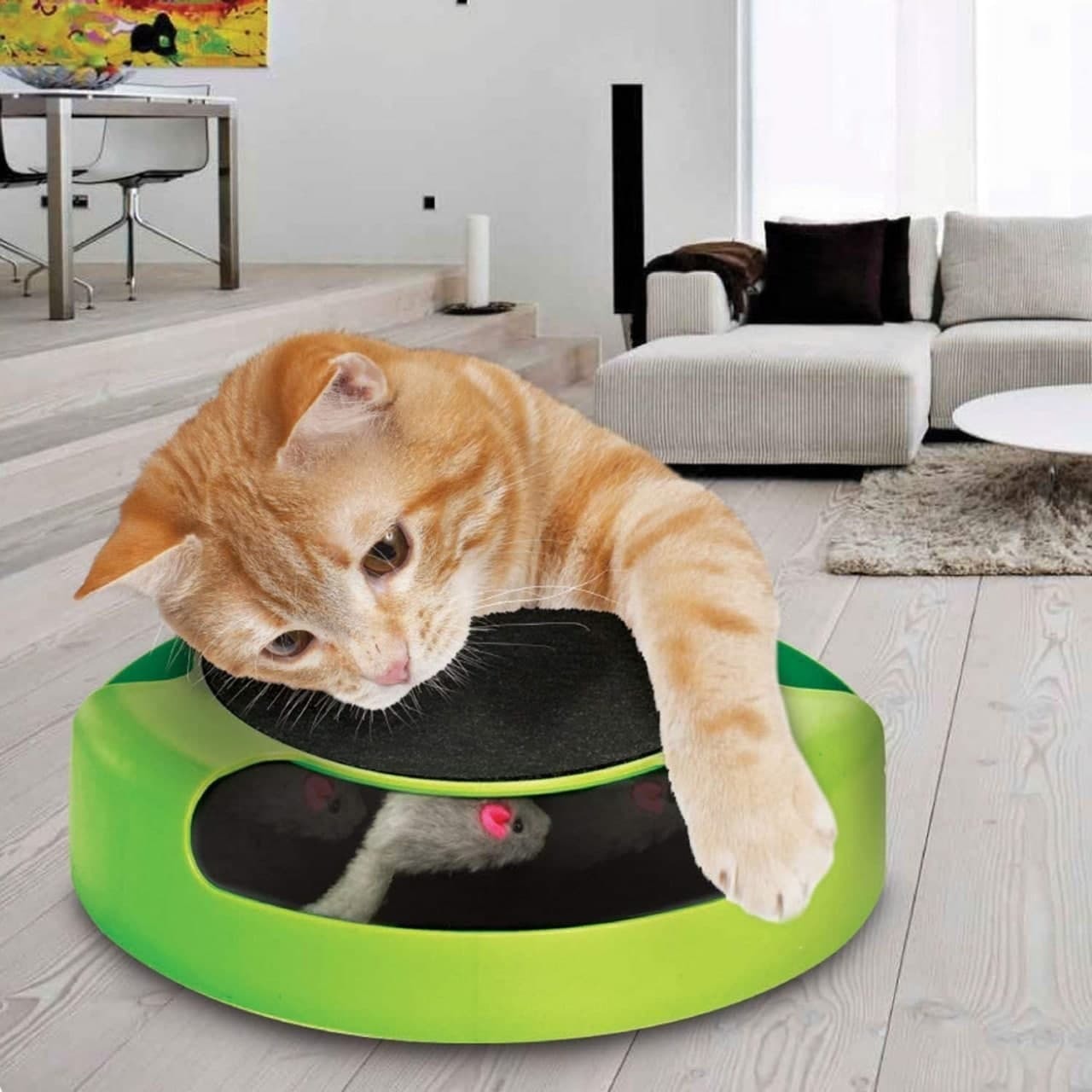 Catch The Mouse Motion Cat Toy