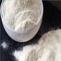 Wood Powder