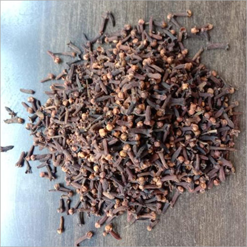 Black Clove Age Group: Suitable For All