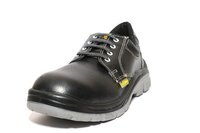 Single  And Double Density Safety Shoes